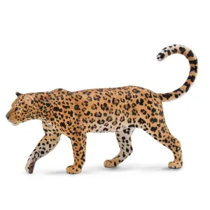African Leopard