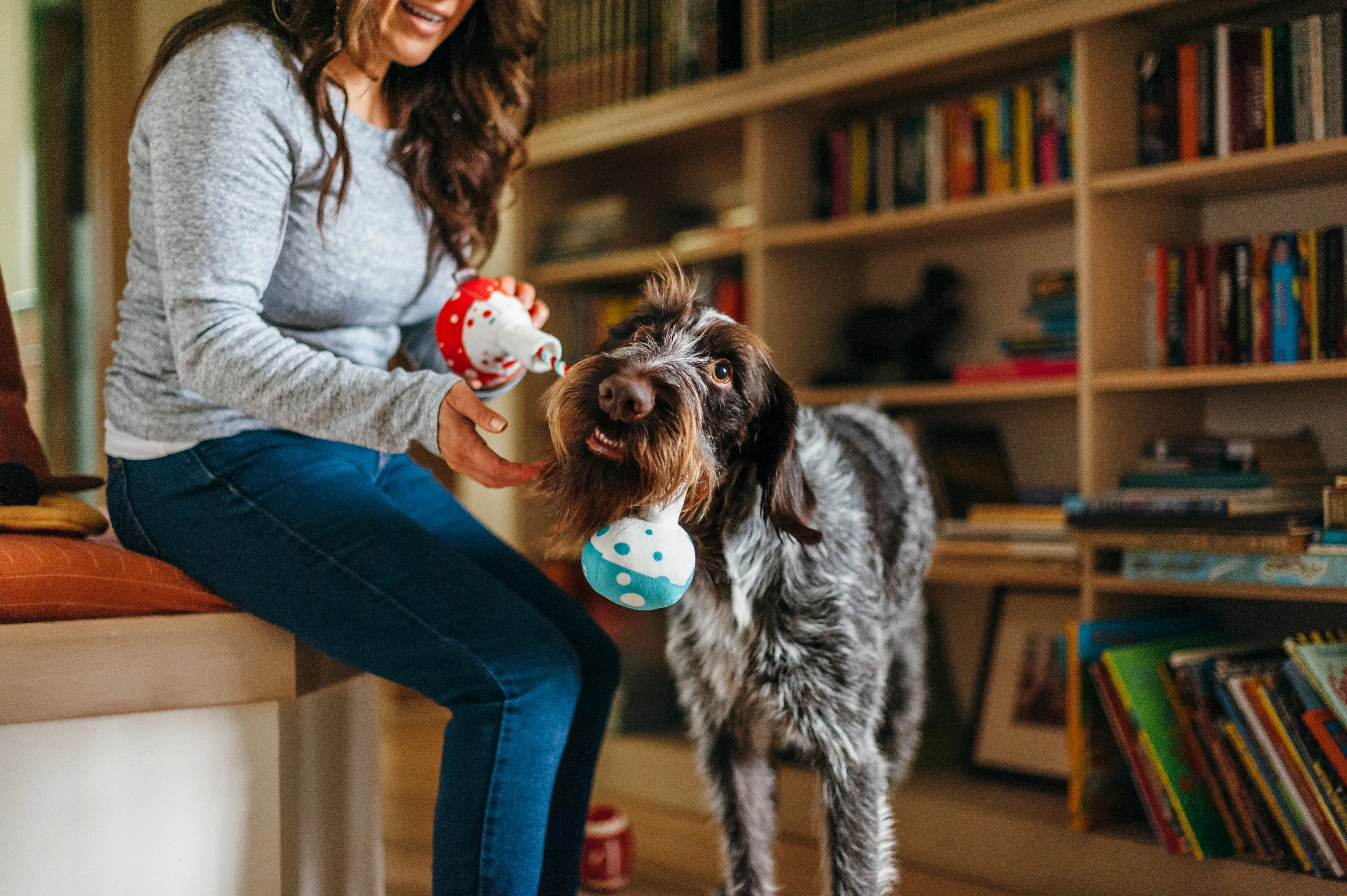 Back to School, Squeaky Plush Dog Toy
