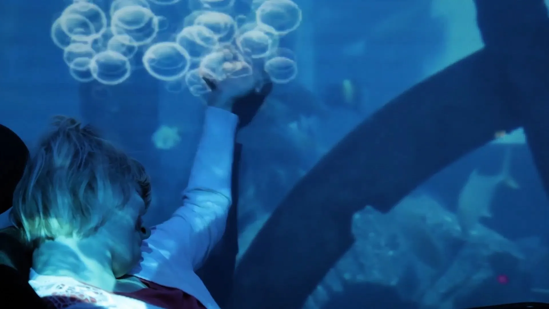 Bespoke Interactive Immersive Experience - Projections on 2 Walls or More