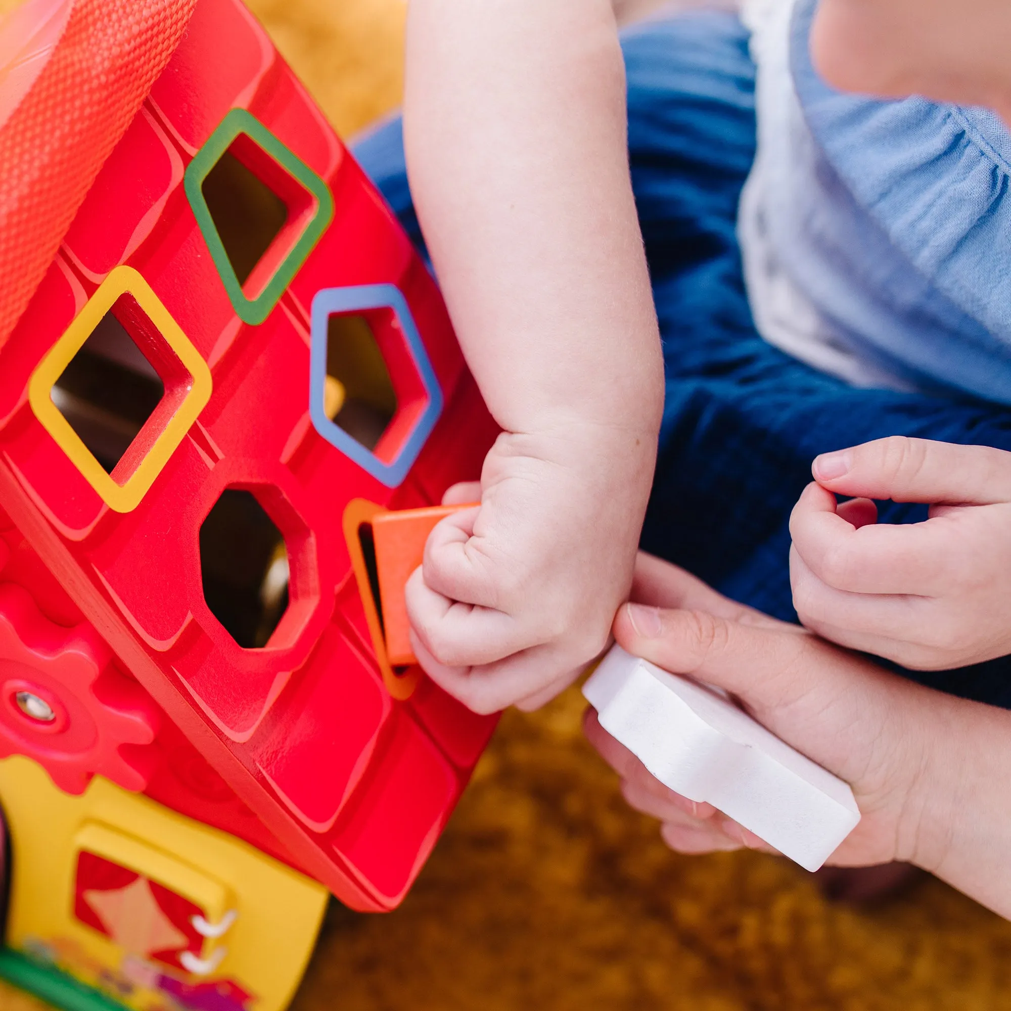 Blue's Clues & You! Wooden Take-Along House