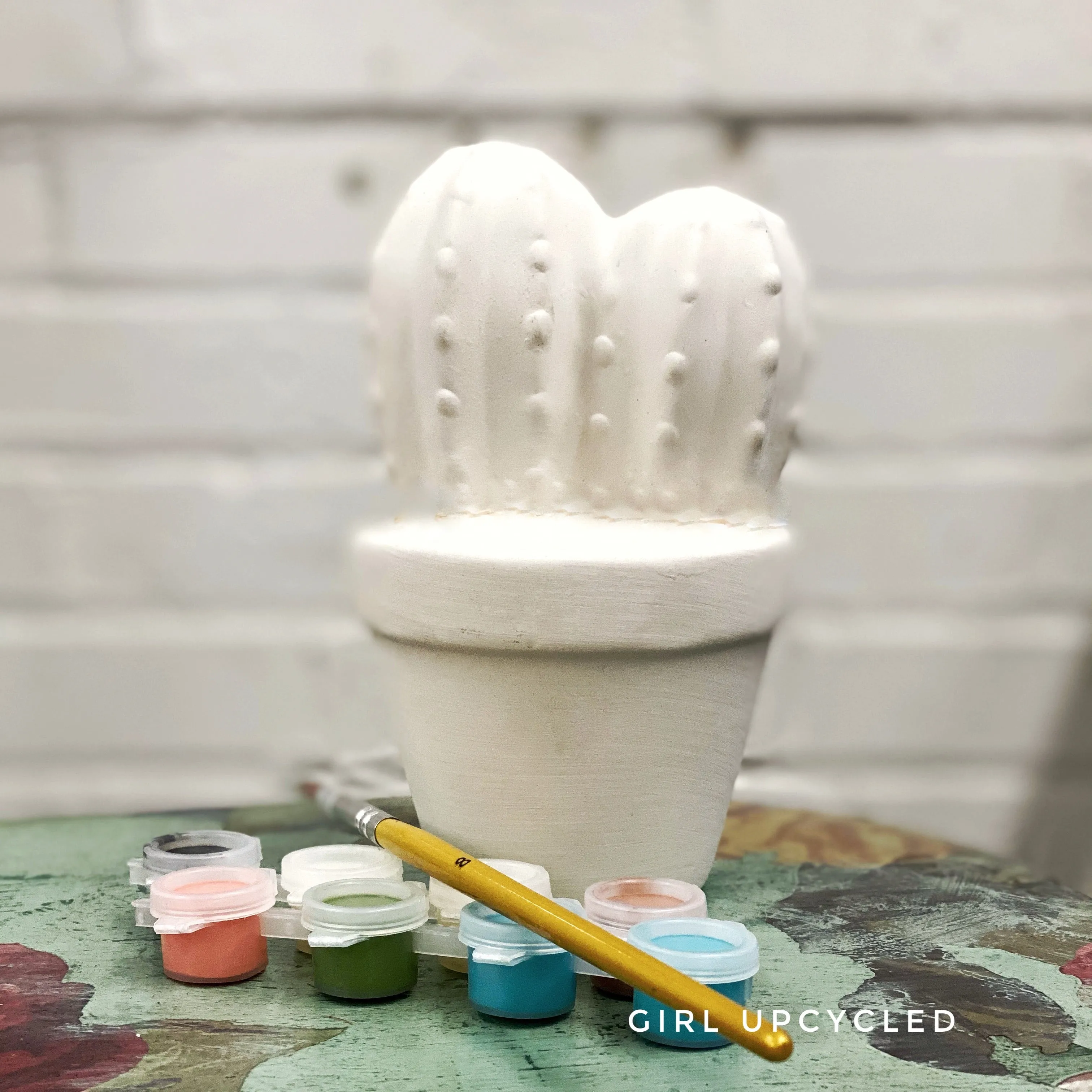 Cactus in a Pot DIY Kit