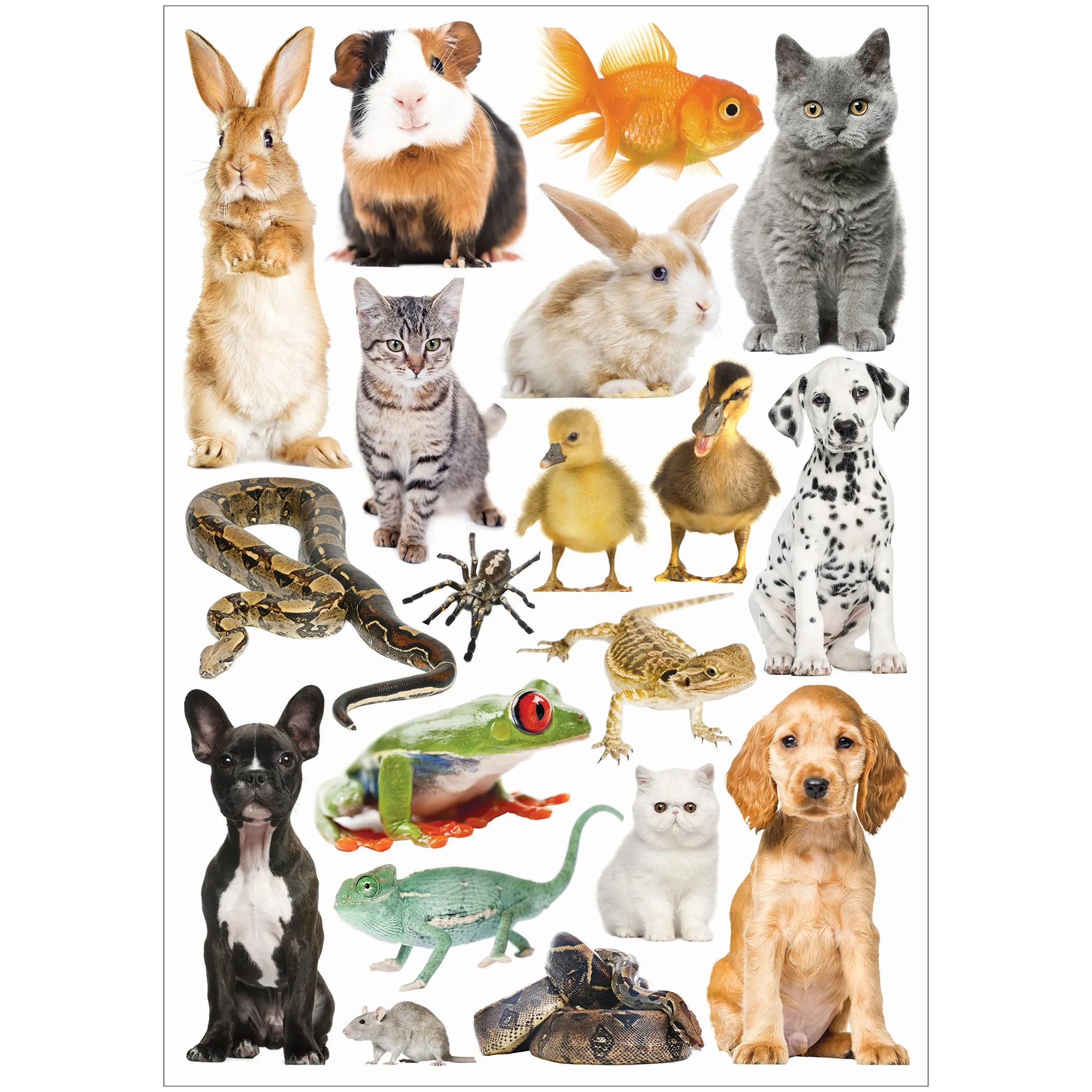 Collage Collections Creatures Pack of 40