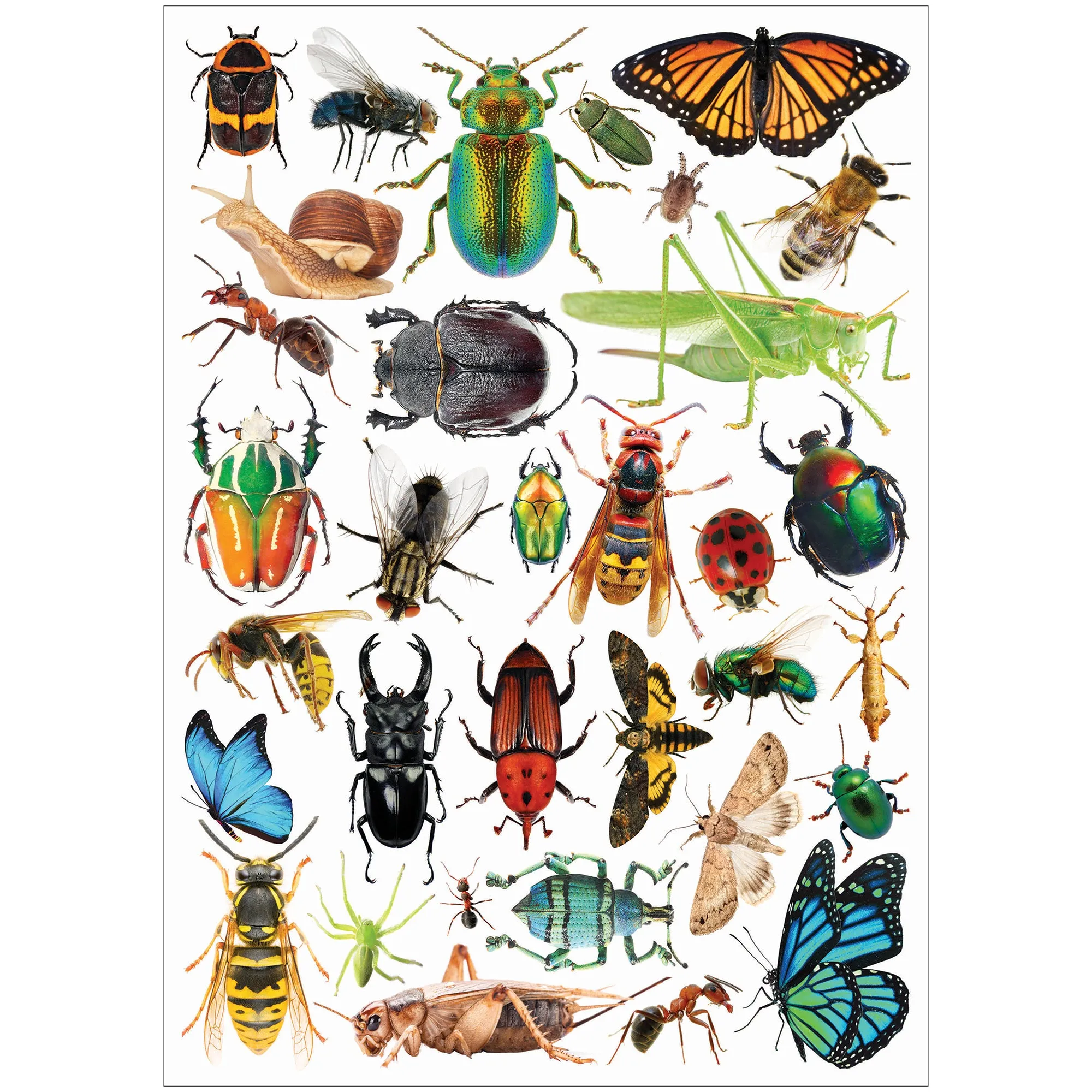 Collage Collections Creatures Pack of 40