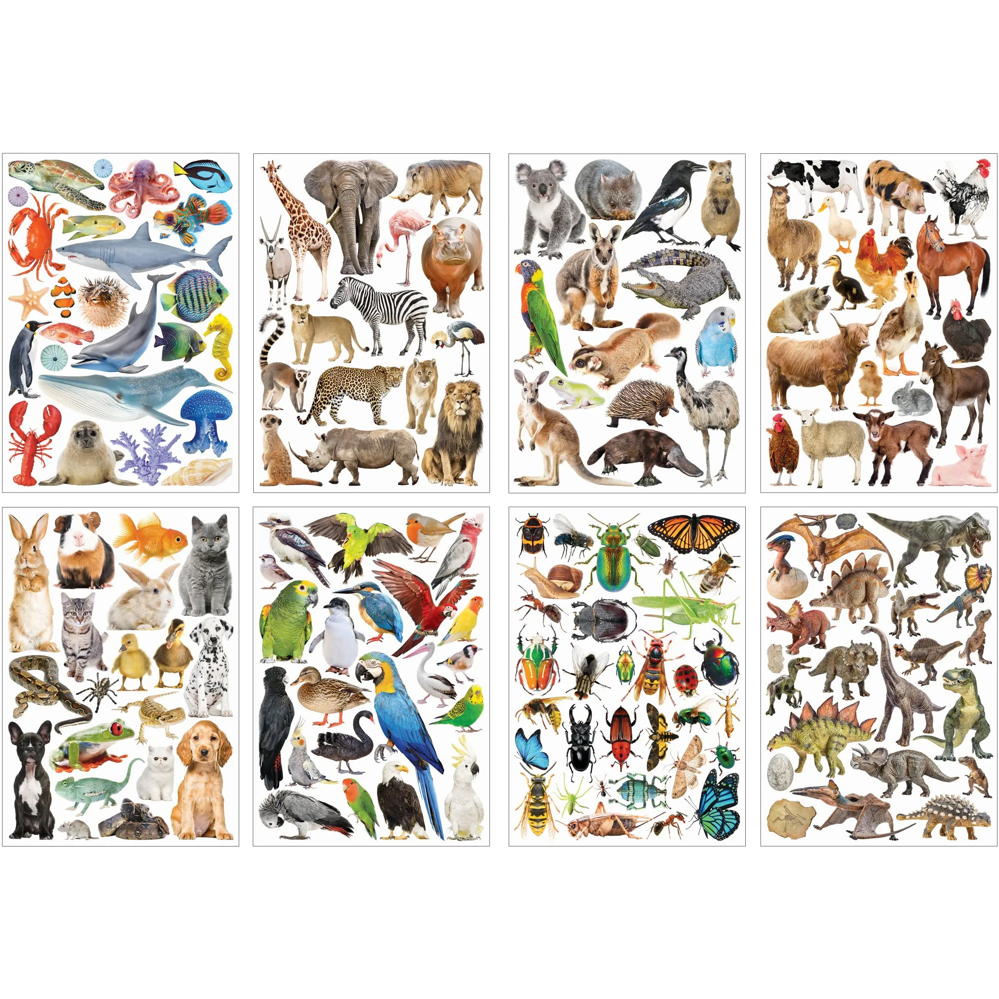 Collage Collections Creatures Pack of 40