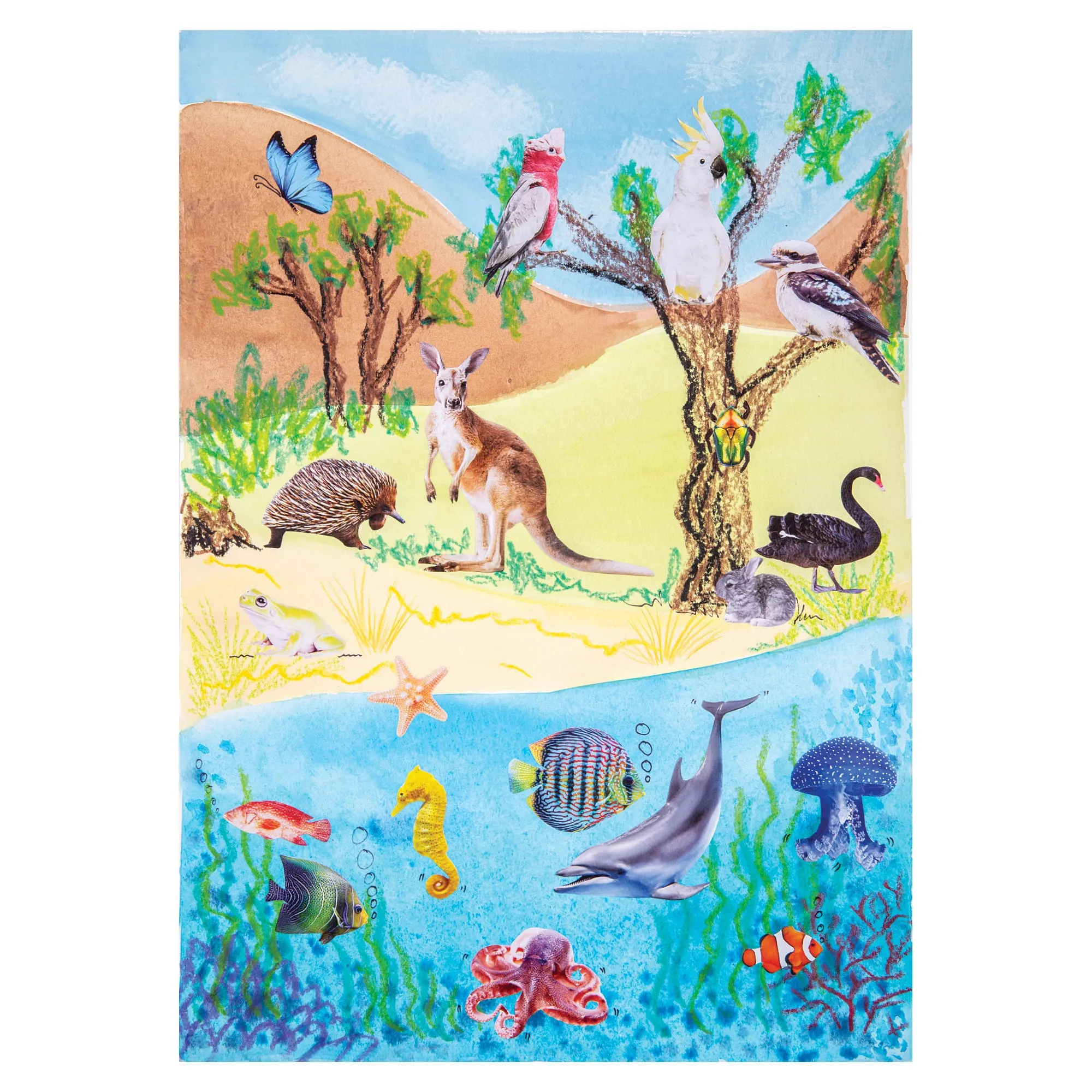 Collage Collections Creatures Pack of 40