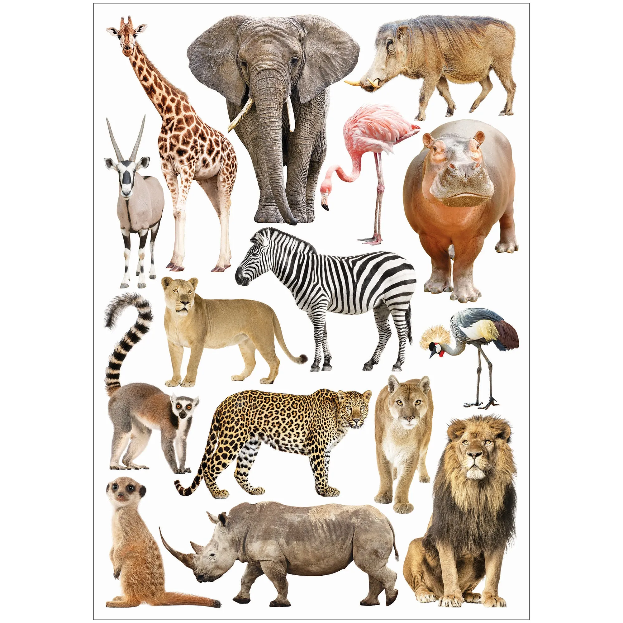 Collage Collections Creatures Pack of 40