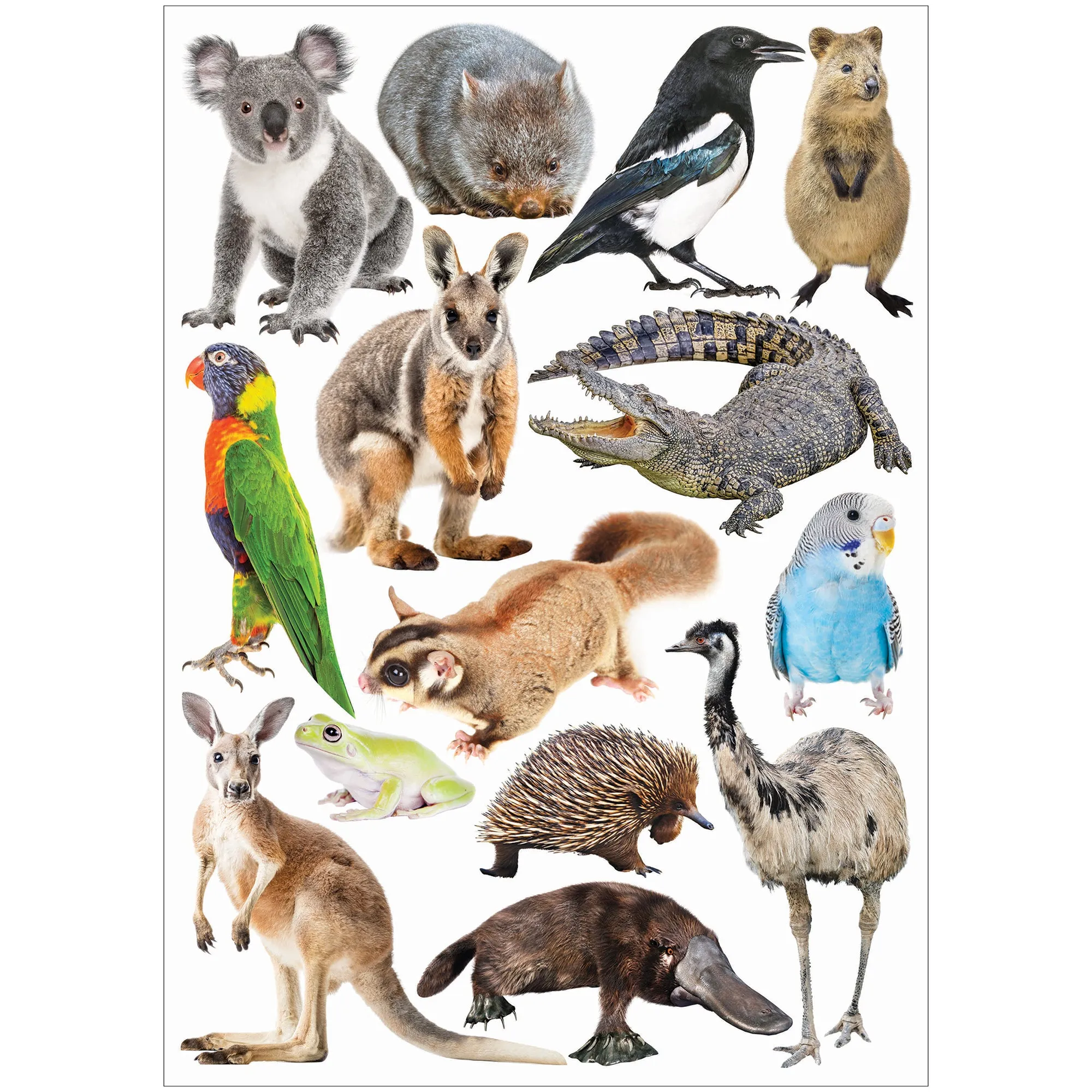 Collage Collections Creatures Pack of 40