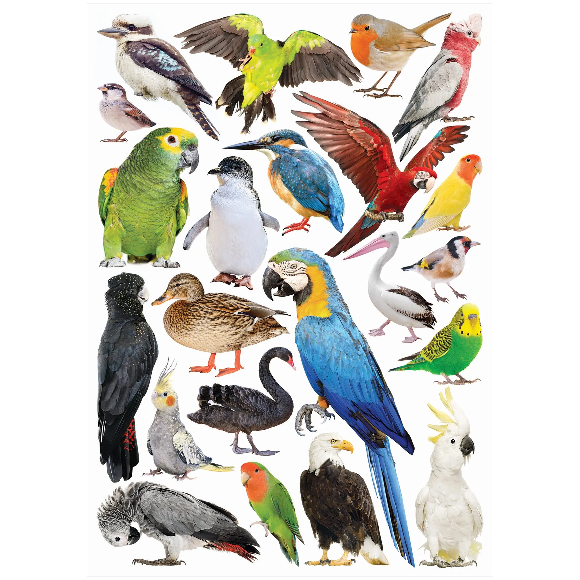 Collage Collections Creatures Pack of 40