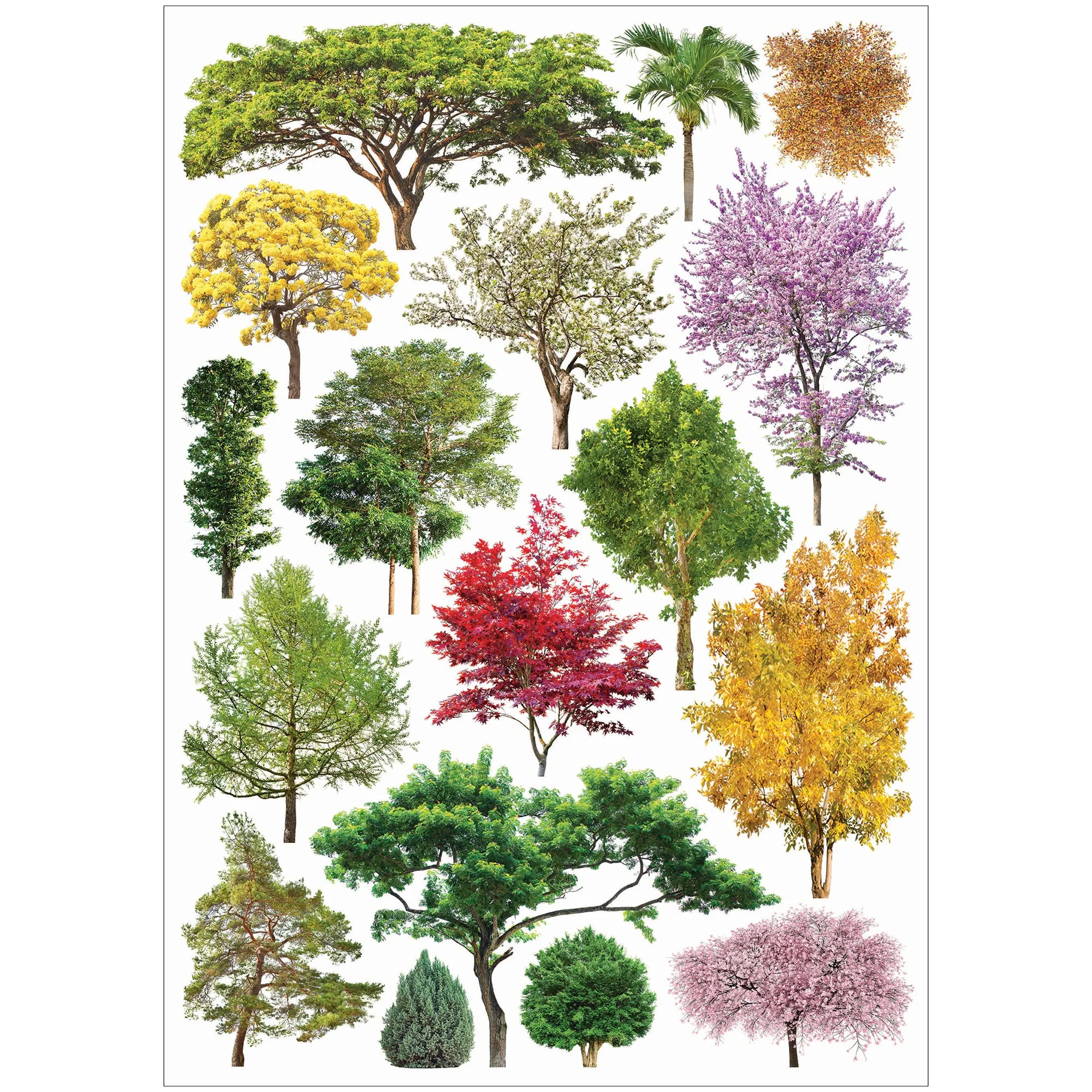 Collage Collections Thrive Pack of 40