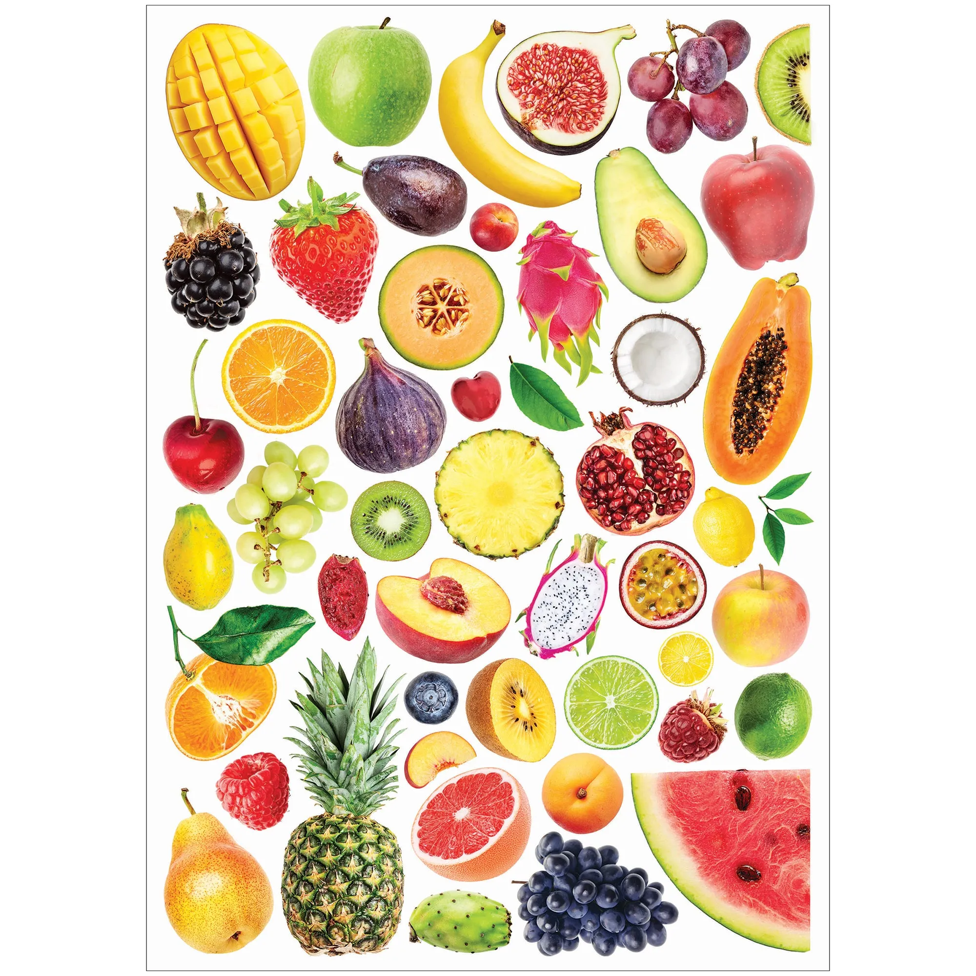 Collage Collections Thrive Pack of 40