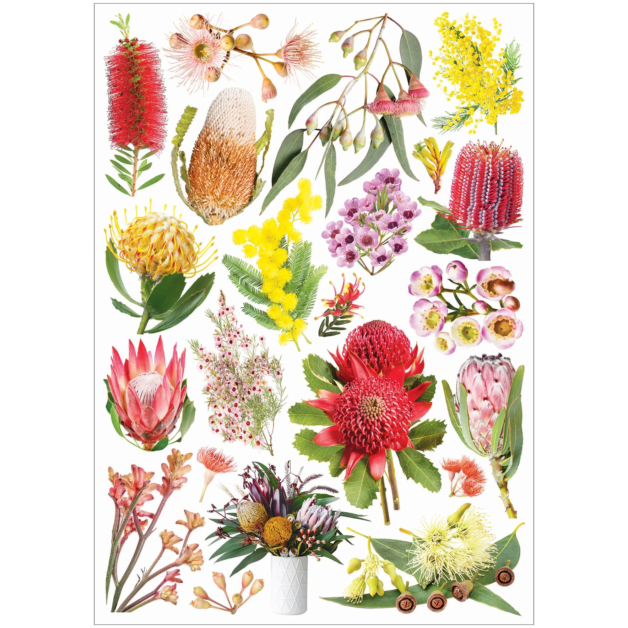 Collage Collections Thrive Pack of 40