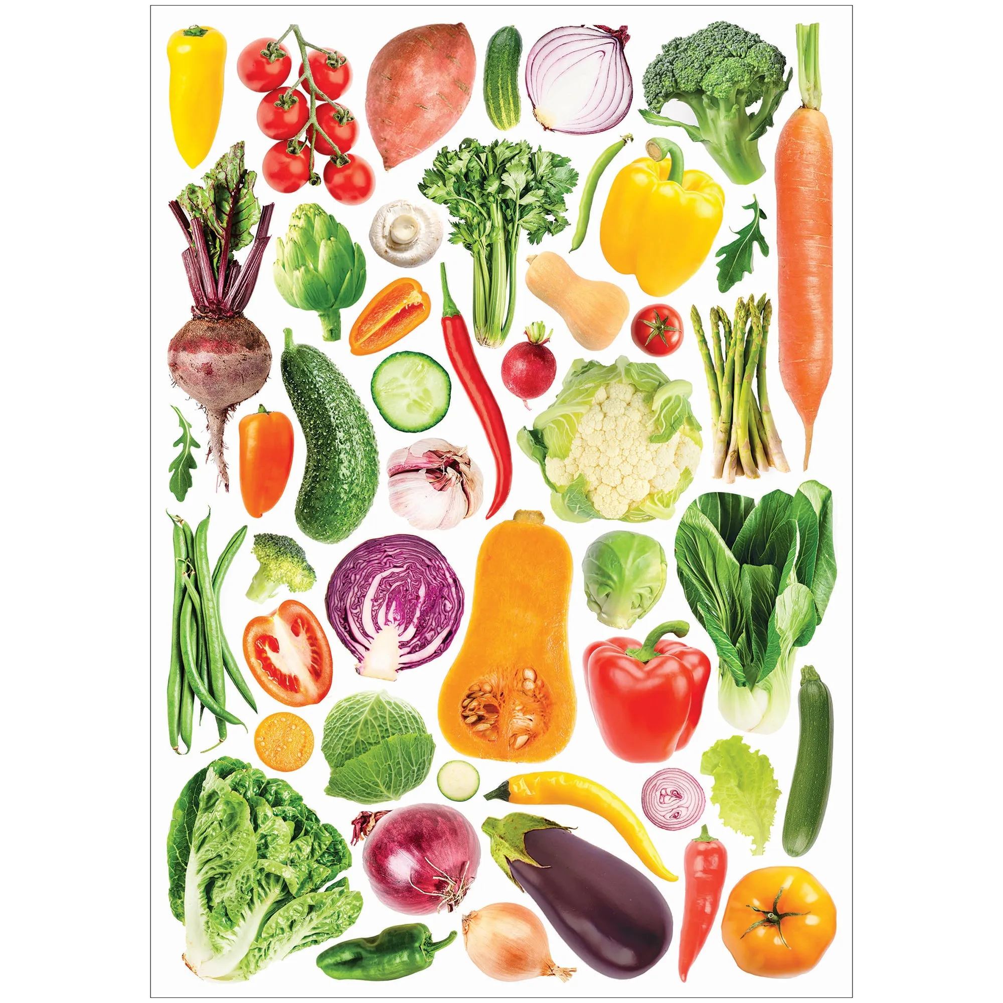 Collage Collections Thrive Pack of 40