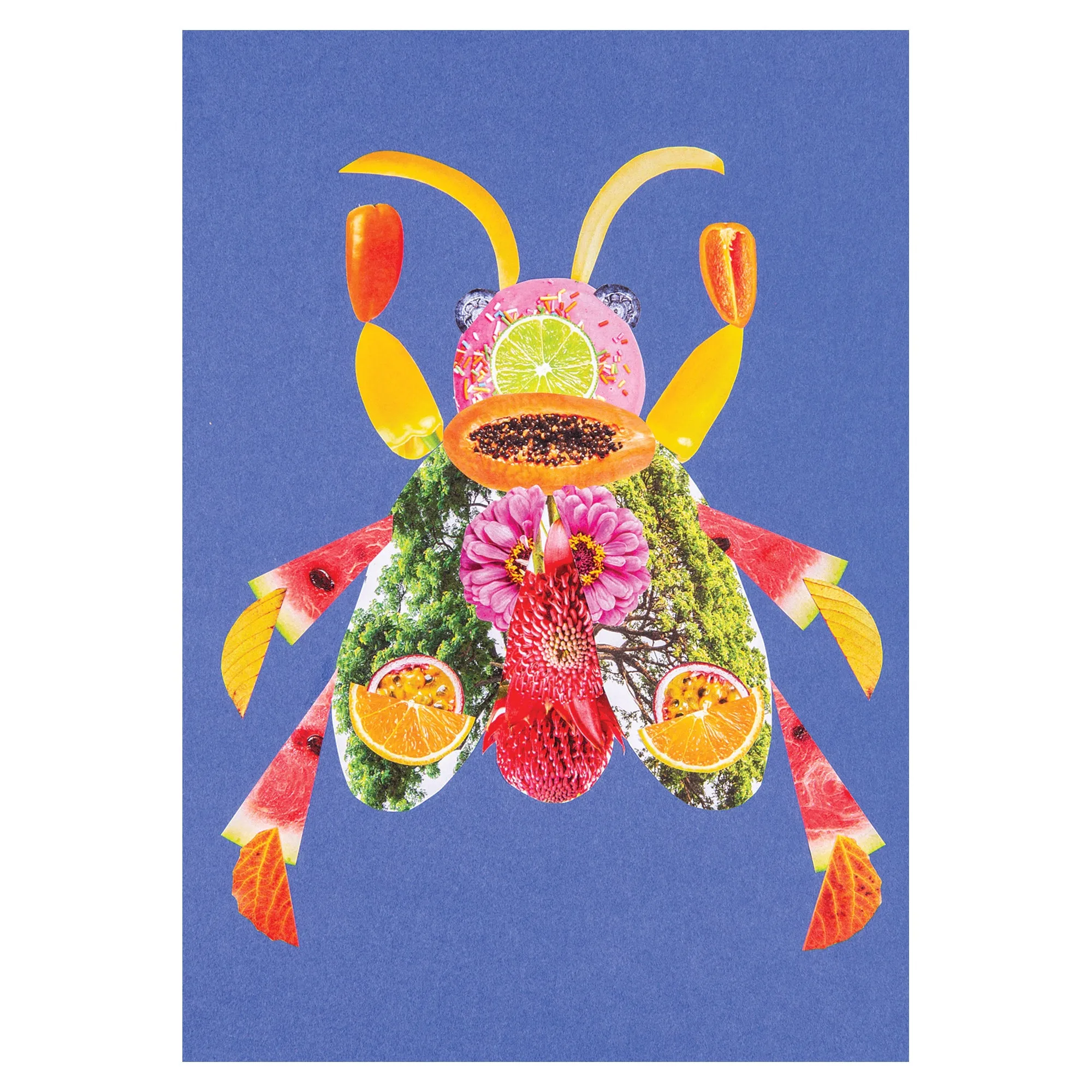 Collage Collections Thrive Pack of 40