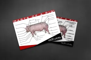 Interactive Pig Anatomy Teaching Chart - 40” x 30”