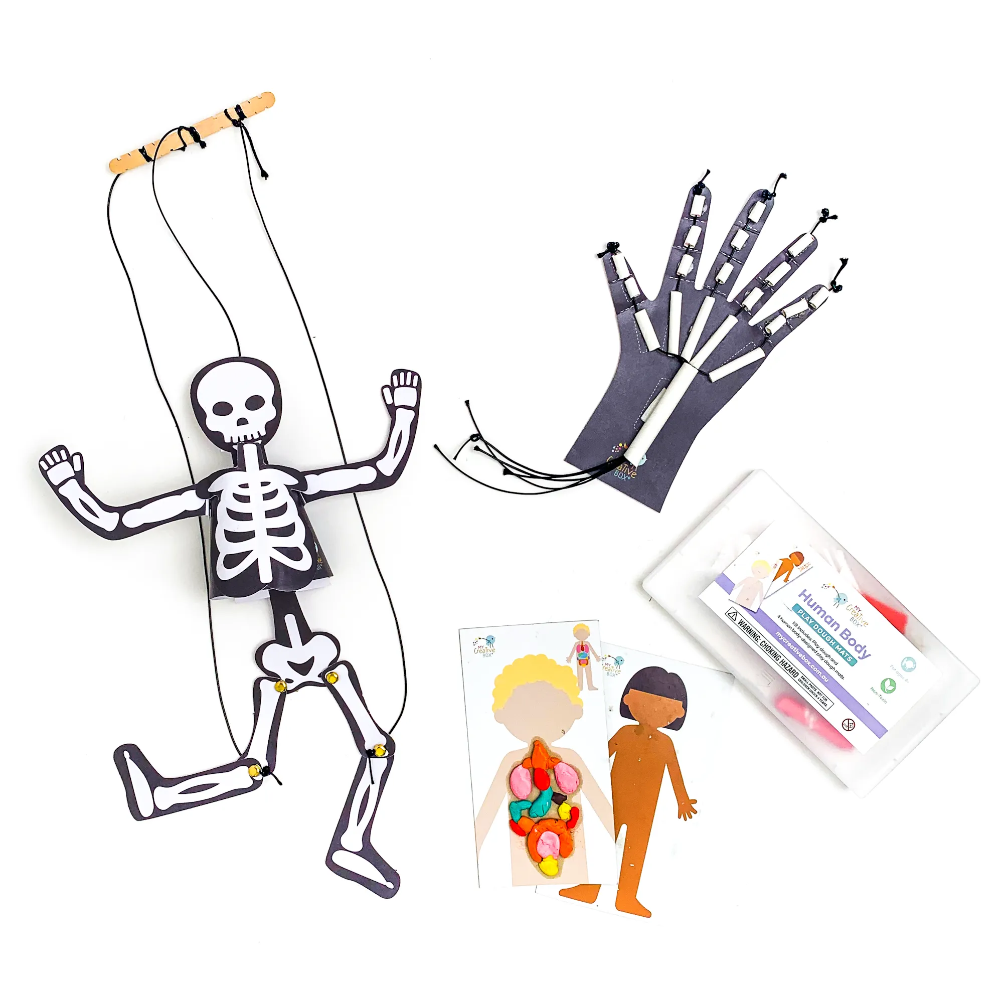 Little Learners Human Body Creative Box