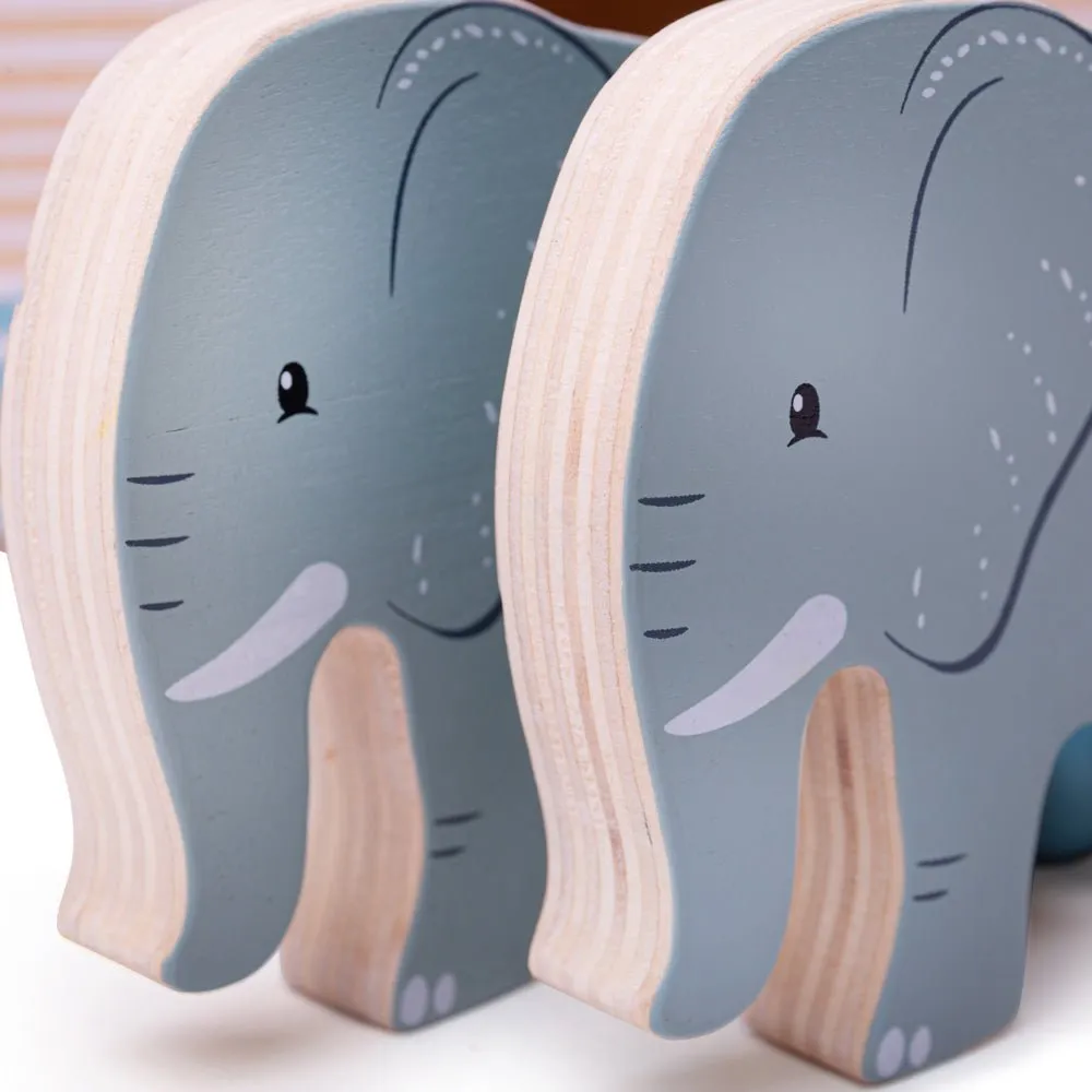 Noah's Ark Role Play Set